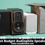 Best Budget Audiophile Speakers