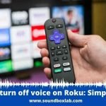 How to turn off voice on Roku_soundboxlab.com