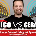 Alnico vs Ceramic Magnet Speakers Details Report and Buying Guide