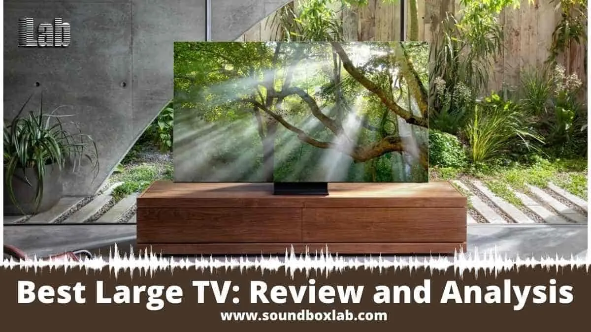 Best Large TV Review and Analysis